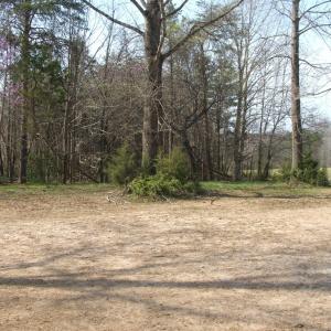 Photo #40 of 1925 Hill Cross Road, Charlotte Court House, VA 30.0 acres