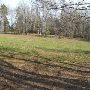 Photo #42 of 1925 Hill Cross Road, Charlotte Court House, VA 30.0 acres