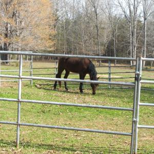 Photo #44 of 1925 Hill Cross Road, Charlotte Court House, VA 30.0 acres