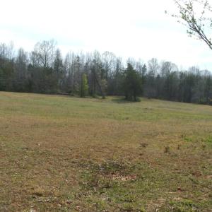 Photo #54 of 1925 Hill Cross Road, Charlotte Court House, VA 30.0 acres