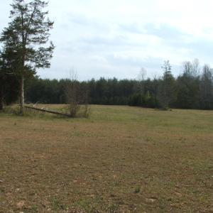 Photo #61 of 1925 Hill Cross Road, Charlotte Court House, VA 30.0 acres
