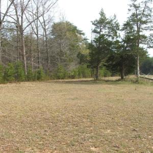 Photo #62 of 1925 Hill Cross Road, Charlotte Court House, VA 30.0 acres