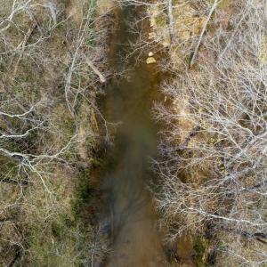 Photo #37 of 3491 Traffic Rd, Victoria, VA 20.0 acres