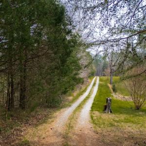 Photo #42 of 3491 Traffic Rd, Victoria, VA 20.0 acres