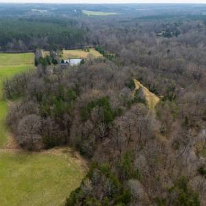 Photo #6 of 3491 Traffic Rd, Victoria, VA 20.0 acres