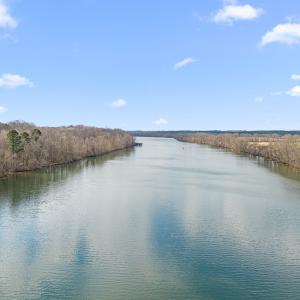 Photo #47 of 594 Ferry Landing Drive, Boydton, VA 1.1 acres