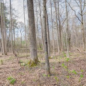 Photo #29 of 249 Gilbert Lane, Victoria, VA 5.2 acres