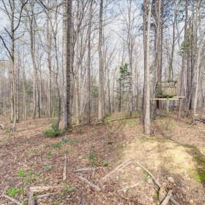 Photo #30 of 249 Gilbert Lane, Victoria, VA 5.2 acres