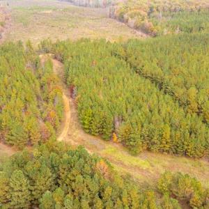 Photo #59 of 574 Old Kings Rd, Drakes Branch, VA 105.3 acres