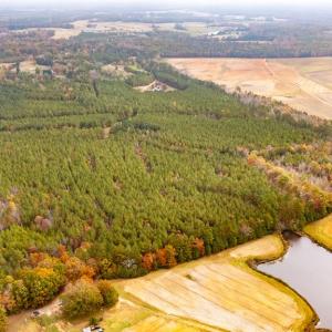 Photo #60 of 574 Old Kings Rd, Drakes Branch, VA 105.3 acres