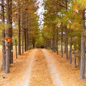 Photo #65 of 574 Old Kings Rd, Drakes Branch, VA 105.3 acres