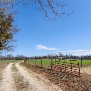 Photo #40 of 1783 Prince Edward Highway, Pamplin, VA 96.6 acres