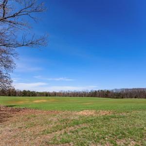 Photo #42 of 1783 Prince Edward Highway, Pamplin, VA 96.6 acres
