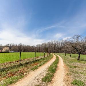 Photo #43 of 1783 Prince Edward Highway, Pamplin, VA 96.6 acres