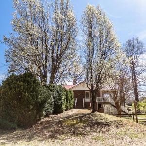 Photo #6 of 1783 Prince Edward Highway, Pamplin, VA 96.6 acres