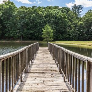 Photo #36 of 1783 Prince Edward Highway, Pamplin, VA 96.6 acres