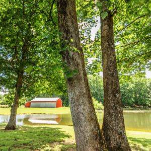 Photo #46 of 1783 Prince Edward Highway, Pamplin, VA 96.6 acres
