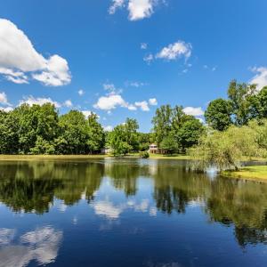 Photo #48 of 1783 Prince Edward Highway, Pamplin, VA 96.6 acres
