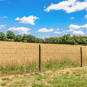 Photo #53 of 1783 Prince Edward Highway, Pamplin, VA 96.6 acres