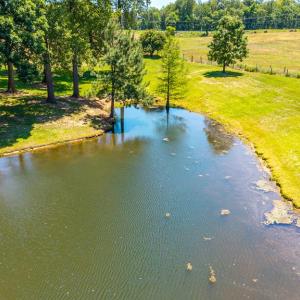 Photo #63 of 1783 Prince Edward Highway, Pamplin, VA 96.6 acres