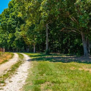 Photo #74 of 1783 Prince Edward Highway, Pamplin, VA 96.6 acres