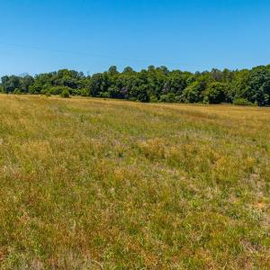 Photo #75 of 1783 Prince Edward Highway, Pamplin, VA 96.6 acres