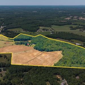 Photo #76 of 1783 Prince Edward Highway, Pamplin, VA 96.6 acres