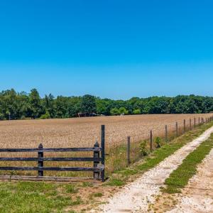 Photo #79 of 1783 Prince Edward Highway, Pamplin, VA 96.6 acres