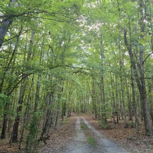 Photo #23 of 906 Equestrian Trail Rd., New Canton, VA 6.7 acres