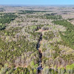 Photo #33 of 469 Jenkins Church Rd, Cumberland, VA 23.7 acres