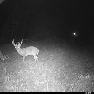 Photo #40 of 469 Jenkins Church Rd, Cumberland, VA 23.7 acres