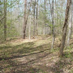 Photo #28 of 3199 County Line Road, Keysville, VA 68.8 acres