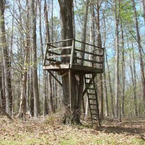 Photo #29 of 3199 County Line Road, Keysville, VA 68.8 acres