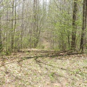 Photo #30 of 3199 County Line Road, Keysville, VA 68.8 acres