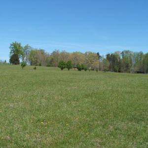 Photo #32 of 3199 County Line Road, Keysville, VA 68.8 acres