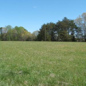 Photo #34 of 3199 County Line Road, Keysville, VA 68.8 acres
