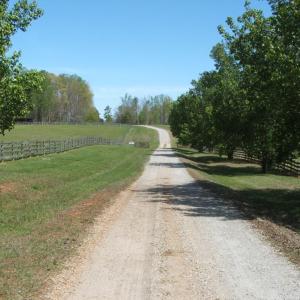 Photo #35 of 3199 County Line Road, Keysville, VA 68.8 acres