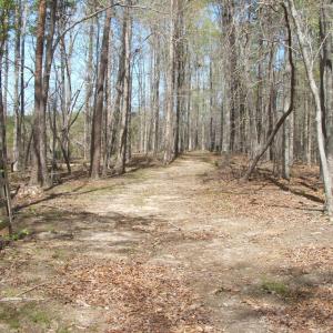 Photo #39 of 3199 County Line Road, Keysville, VA 68.8 acres