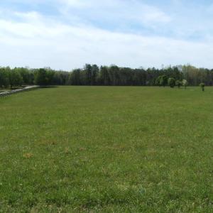 Photo #41 of 3199 County Line Road, Keysville, VA 68.8 acres