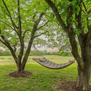 Photo #46 of 836 Dobbins Bridge Rd, Blackstone, VA 4.2 acres