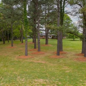 Photo #61 of 836 Dobbins Bridge Rd, Blackstone, VA 4.2 acres