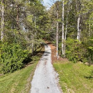 Photo #73 of 1311 Overton Road, Lunenburg, VA 17.2 acres