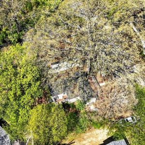 Photo #24 of 815 Buffalo Street, Farmville, VA 0.1 acres