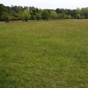 Photo #48 of 2230 Richmond Rd, Amelia, VA 5.0 acres