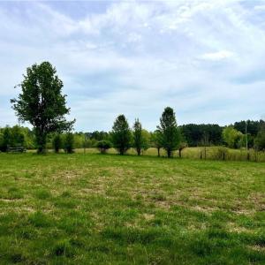 Photo #51 of 2230 Richmond Rd, Amelia, VA 5.0 acres