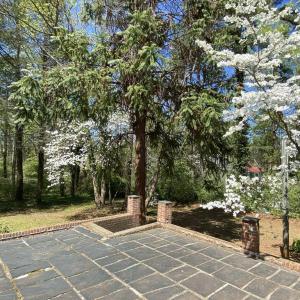 Photo #33 of 3271 Rosney, Dillwyn, VA 1.7 acres