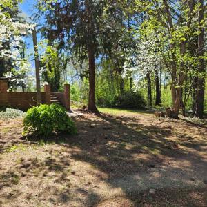 Photo #4 of 3271 Rosney, Dillwyn, VA 1.7 acres