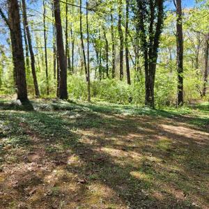 Photo #35 of 3271 Rosney, Dillwyn, VA 1.0 acres