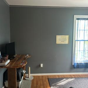 Photo #14 of 171 Bigger, Cumberland, VA 3.8 acres