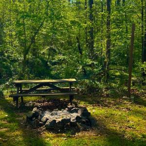 Photo #28 of 171 Bigger, Cumberland, VA 3.8 acres